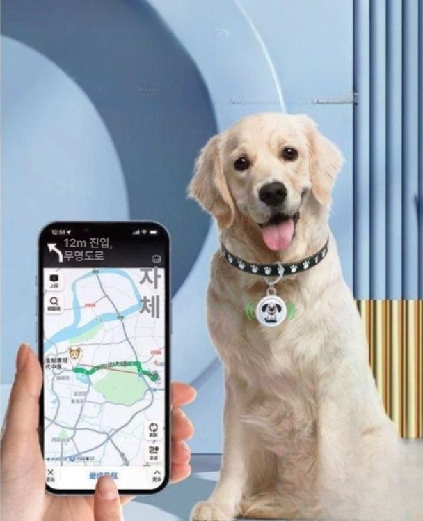 반려견 gps 위치 목걸이 지갑위치추적기 방수 동물 추적 로케이터 분실 디스커버리 탐지기 (제이앤디)