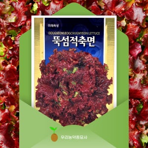 뚝섬적축면 상추씨앗 3000립 맛좋은 다수확 영리재배용 꽃상추 씨앗 모종 우리농약종묘사