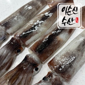 녹진한 내장가득 신진도 제철 통오징어 800g 오징어 통찜