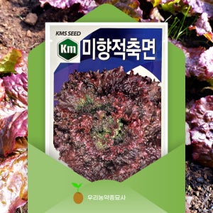 미향적축면 상추씨앗 8g 추대가 늦고 맛이 좋은 만추대성 꽃상추 씨앗 모종 우리농약종묘사