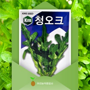 청오크 상추 씨앗 4g 비타민C와 규소질이 풍부한 영양만점 상추 씨앗 모종 우리농약종묘사