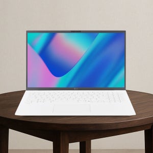 LG 그램15 인텔 U5 윈도우11프로 기업 사무 15Z90S-GP5CL 32GB, 2TB