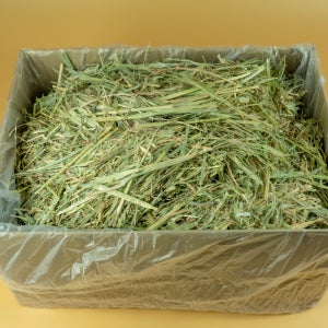 대용량 연맥 건초 압축 토끼 사료 호주산 5kg 10kg