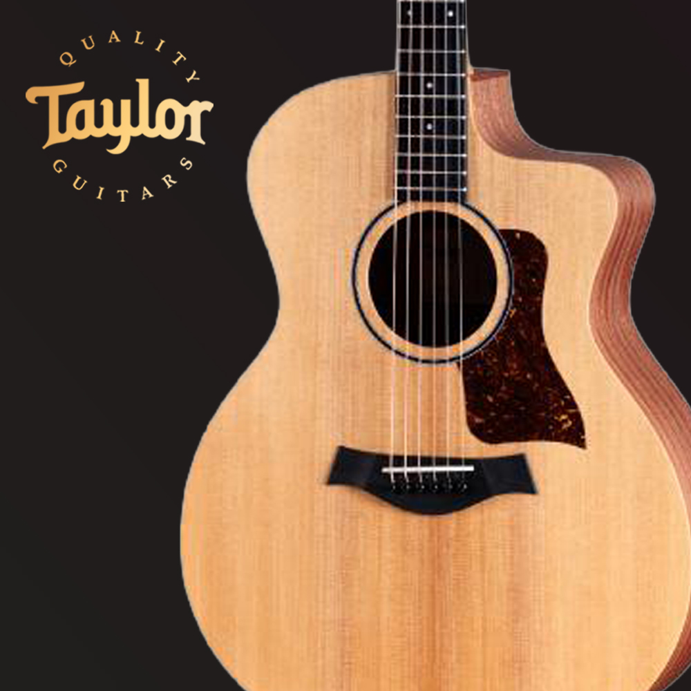 Taylor 테일러 TAYLOR 14ce Sapele Sitka 어쿠스틱 통기타 입문용 연습용 초보자용