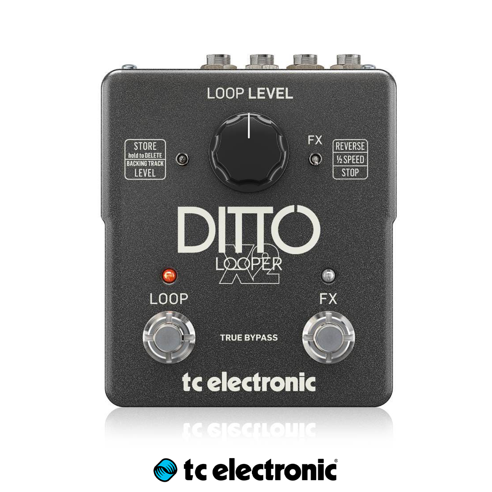 TC Electronic DITTO X2 LOOPER 디토 루퍼 기타이펙터 페달