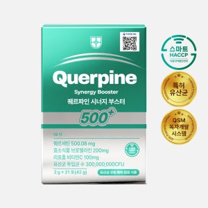 퀘르파인 시너지 부스터 단품 퀘르세틴 브로멜라인 소포레틴 케르세틴 퀘르틴산 특허 유산균