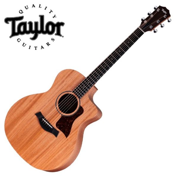 Fishman Taylor 어쿠스틱기타 24ce Fishman 픽업