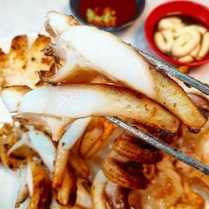 갑오징어 국내산 생물 오징어 갑오징어 급냉 특대 대 사이즈