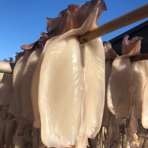 구룡포 반건조 피데기 오징어 5미 550g 자연산 100% 냉풍 건조 오징어 냉동 안심포장