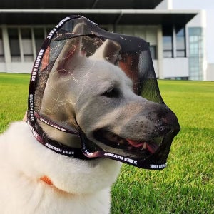 청풍문 펫숨 강아지 애견 페이스커버 얼굴망 안면마스크 안충 이식증 고글 입마개 양파망