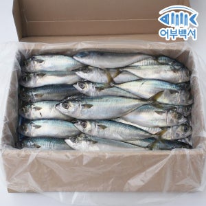 어부백서 국내산 고등어 11kg 대용량 식당 업소용