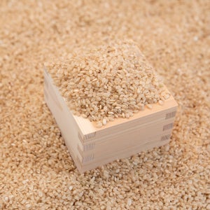 [황금눈쌀] 유기농 0분도 현미 20kg 친환경 새청무 햅쌀 100% 프리미엄 당일도정