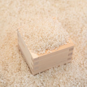 [황금눈쌀] 유기농 10분도 백미 친환경 새청무 햅쌀 100% 당일도정 20kg, 1개