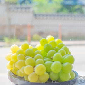 당도 17브릭스 이상 김천 샤인머스켓 2k 청포도 GAP 17Brix, 4kg, 1개