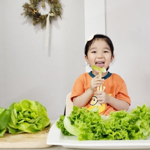 산지직송 유러피안 샐러드 채소 야채 1kg 식단, 유럽 상추 [원산지:국산]