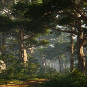 LUS 제주비자나무 프래그런스오일 향오일