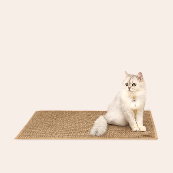 고양이 안식처 캣나인 이너무바 반영구 스크래쳐 카페트 매트타입 플랫형