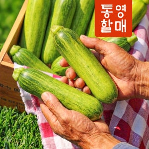 통영할매 특상품 애호박 20개입 한 박스 중도매인 당일경매