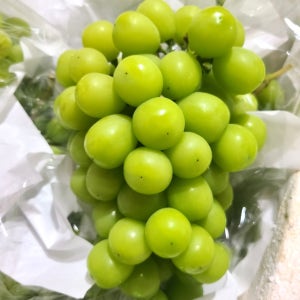 당도선별 왕알 샤인머스켓 2kg~4kg