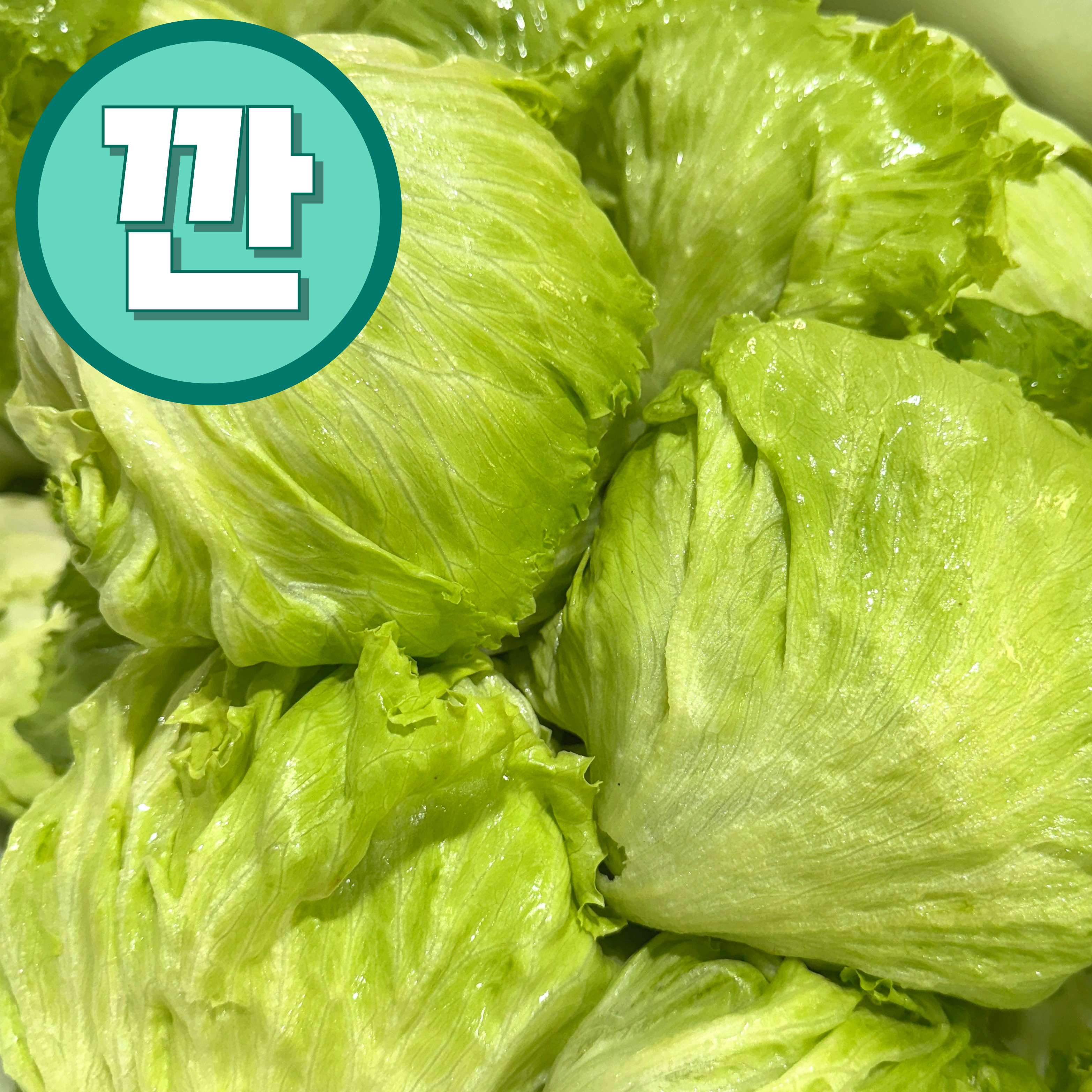 [깐양상추] 국내산 손질 양상추 / 업소용 식자재 / 산지직송