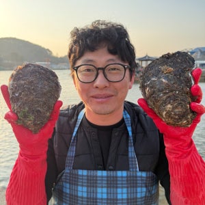 자연산 바위굴 하프셀 통영 삼배체굴 석화 거제도 해녀가 채취한 대왕굴2kg