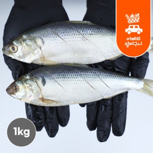 냉동 손질 전어 1kg 내장제거 여름 가을 전어 구이용