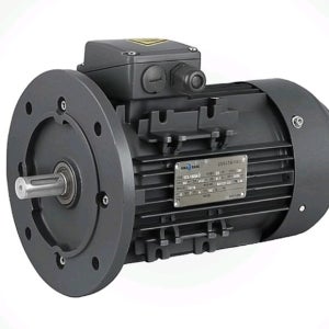 수입모터 삼상유도전동기 55KW 75마력 입형 버티컬 2극 2P B5 타입 380V 60Hz IE3 프리미엄고효율 화랑