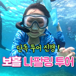 보홀 나팔링투어 스노클링 단독 액티비티 정어리떼 동남아 자유여행 럭키호핑