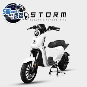 25년형 스톰 LT2 2인용 전기스쿠터 60V 30AH 삼성셀 1500W 전동 전기스쿠터