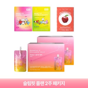 에브리데이즈 슬림핏 플랜 패키지 2주 콤부차 애사비 크런치 비건 곤약젤리 선물세트