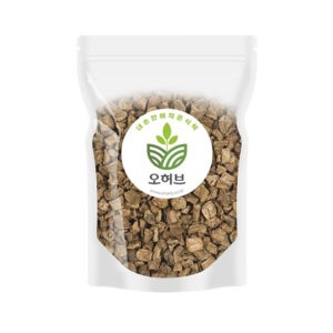 치커리 차 수입 커피 대용 수입산 치커리 1kg