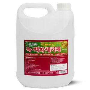화장실 석회 제거제 욕실 세면대 바닥 타일 석회질 백화 제거 클리너 4L