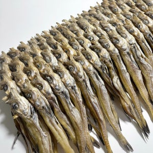 1등급 명태 줄노가리 80급 5줄 100마리