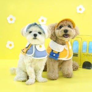 강아지 유치원 등원복 스타일 케이프&모자세트