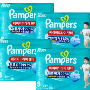 팸퍼스 2025 베이비드라이 팬티형 기저귀 남녀공용 5단계 144매
