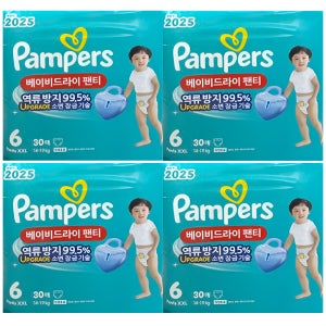 팸퍼스 2025 베이비드라이 팬티형 기저귀 남녀공용 6단계 120매