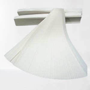 돈 띠지 은행 돈 현금 지폐 묶는 종이 띠지 끈