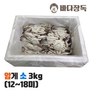 싱싱한 국내산 급냉 냉동 꽃게 암 소, 3.0kg, 1개