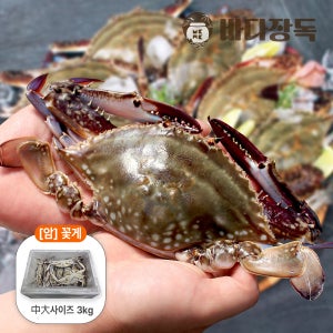싱싱한 국내산 급냉 냉동 꽃게 암 중대, 3.0kg, 1개