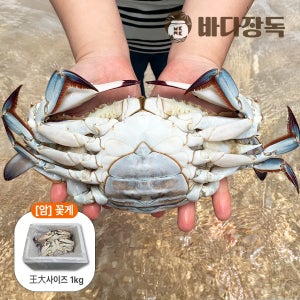 싱싱한 국내산 급냉 냉동 꽃게 암 특대/왕대, 1kg, 1개