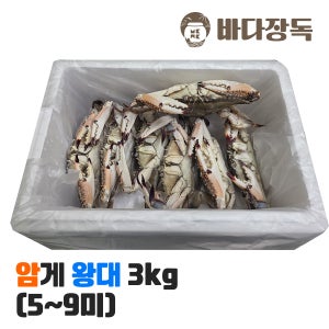 싱싱한 국내산 급냉 냉동 꽃게 암 특대/왕대, 3.0kg, 1개