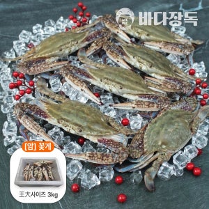 싱싱한 국내산 급냉 냉동 꽃게 암 특대/왕대, 3.0kg, 1개