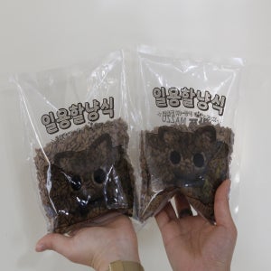 고양이사료 마쭈의일용할냥식 전연령 20Kg /200gx100개