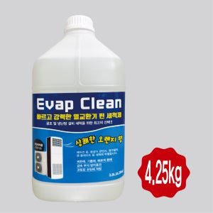 에바클린 에어컨 세척제 전문가용 곰팡이제거 특화 3.8L 1개