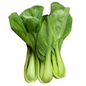 맛통령 국내산 청경채 1kg 2kg 4kg