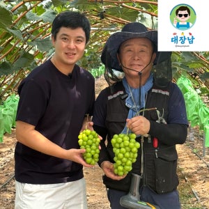 샤인머스켓 제철 과일 캠벨 거봉 머루 청포도 블랙사파이어 씨없는 포도