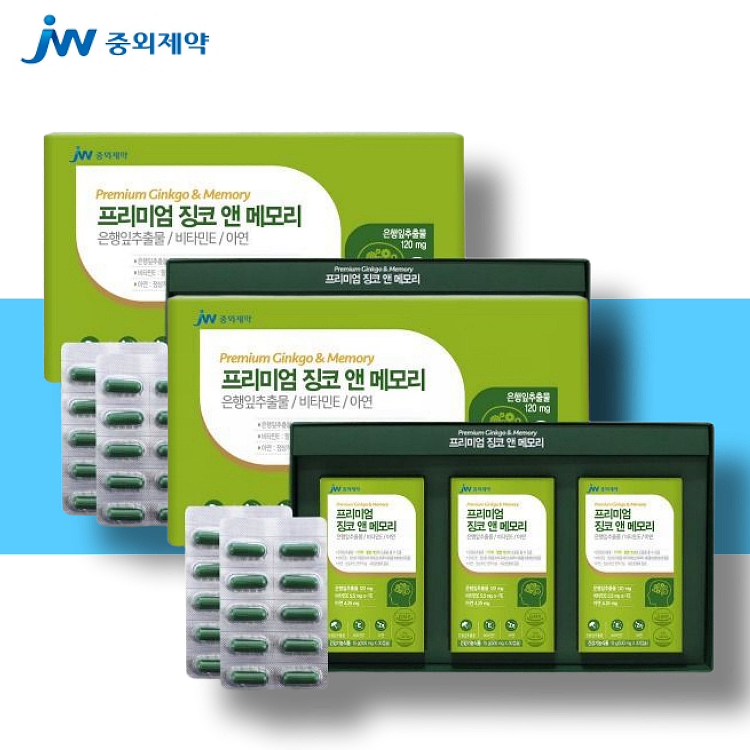 은행잎추출물 영양제 기억력감퇴 혈행개선 기억력저하 6개월