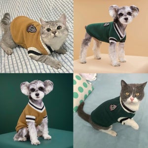 고양이 강아지 교복 조끼 V넥 보온 애견 옷 강아지유치원 유니폼 기념일 사진 촬영 귀여운옷