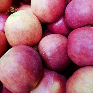 가마골보부 경북 홍로 사과 5kg 중과 가정용 red apples