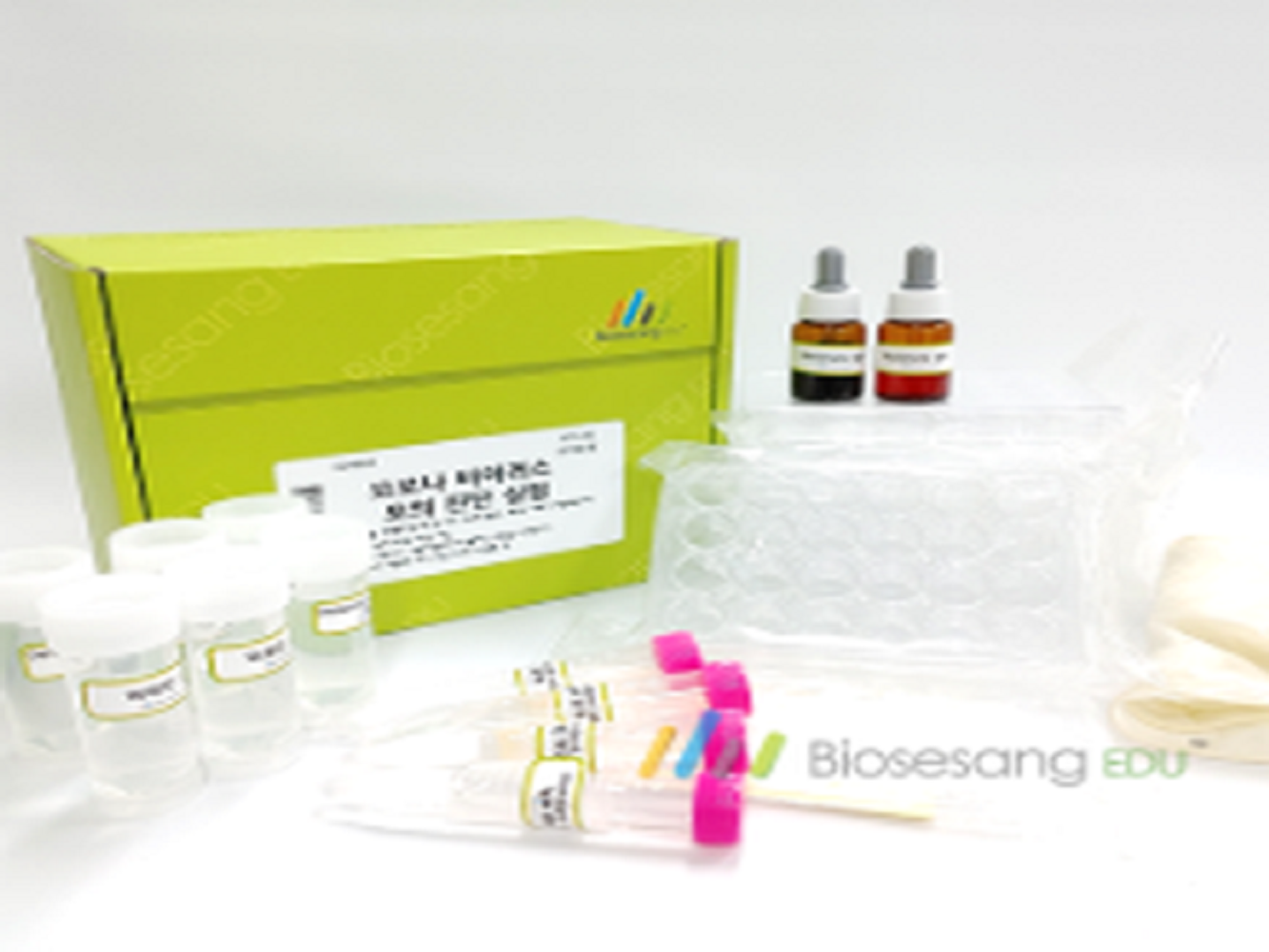 ED4002 Covid 19 바이러스 모의 진단 실험 (5인 KIT)/<b>코로나</b> 바이러스/과학